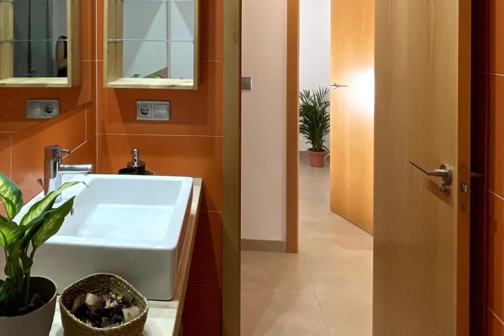 Appartamento Taima Flats 4 Alicante Esterno foto